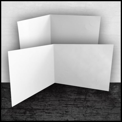 Economy Folder (25 Pack)