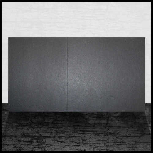 Gold Sport Folding Combo (25 Pack)